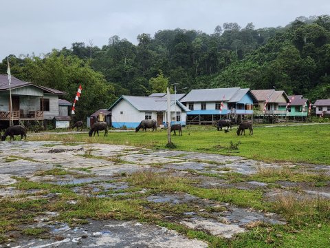 Suasana Desa Lung Semamu