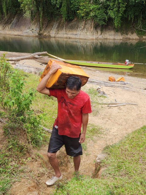 Gotong Royong Mengumpulkan Kayu Bakar