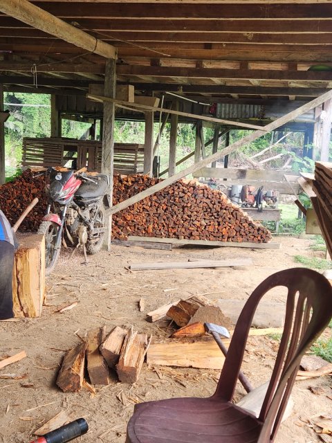 Gotong Royong Mengumpulkan Kayu Bakar